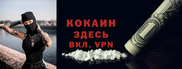 mdpv Богородицк