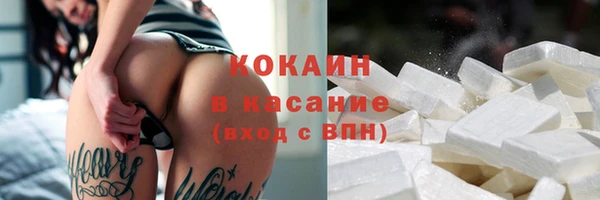 крисы Богданович