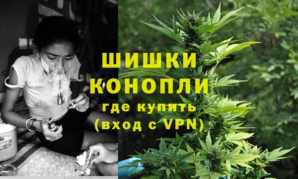 крисы Богданович